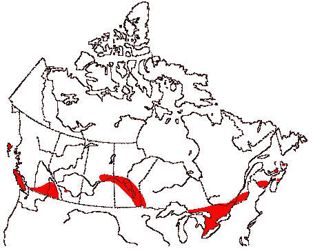 Map of Wood Duck in Canada