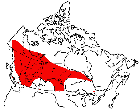 Map of Bufflehead in Canada