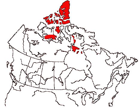 Map of Red Knot in Canada