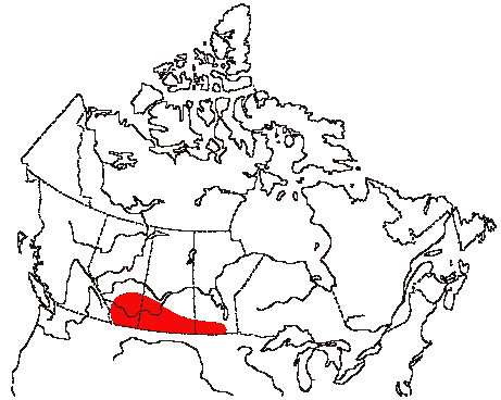 Map of Chestnut-collared Longspur in Canada