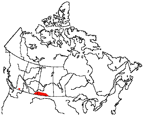 Map of Sage Grouse in Canada