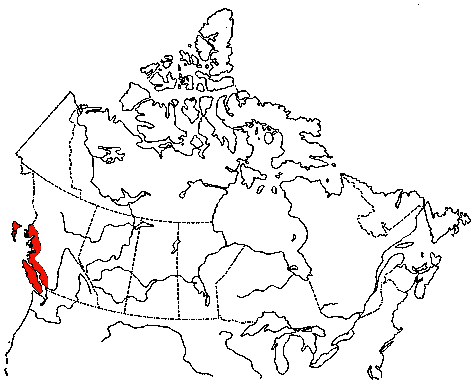 Map of Pigeon Guillemot in Canada