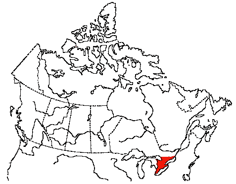 Map of Prairie Warbler in Canada