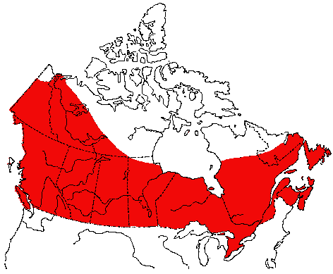Map of Yellow Warbler in Canada