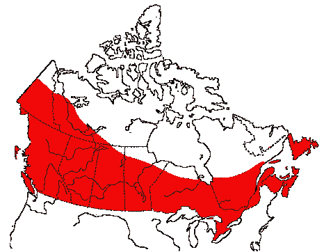 Map of Hairy Woodpecker in Canada