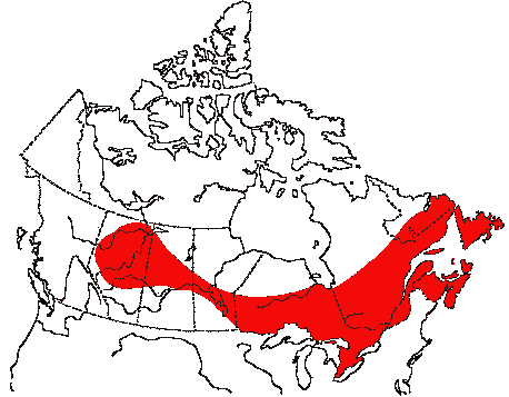 Map of Black-throated Green Warbler in Canada