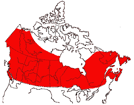 Map of Merlin in Canada
