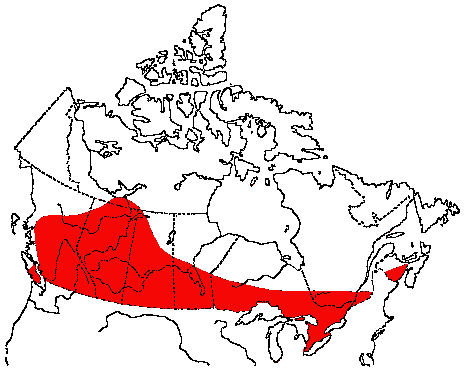 Map of American Coot in Canada