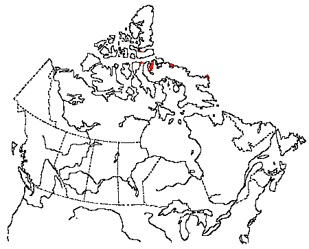Map of Northern Fulmar in Canada