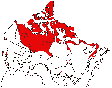 Map of Red-throated Loon in Canada