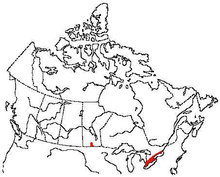 Map of Orchard Oriole in Canada
