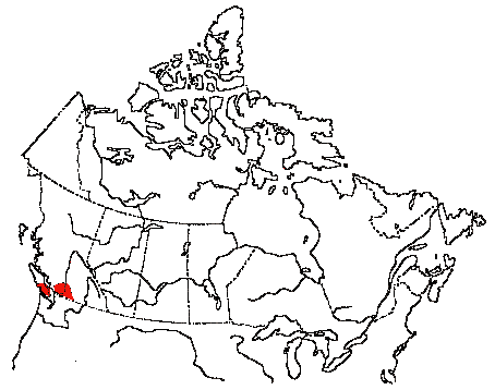 Map of California Quail in Canada