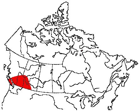 Map of Lewis' Woodpecker in Canada
