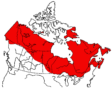 Map of Red-breasted Merganser in Canada