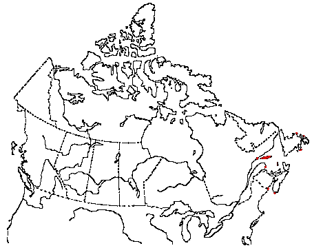 Map of Northern Gannet in Canada