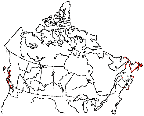 Map of Leach's Storm-Petrel in Canada