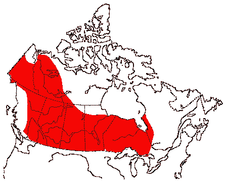 Map of Sharp-tailed Grouse in Canada