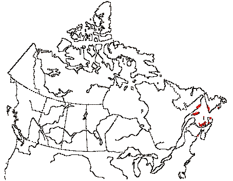Map of Great Comorant in Canada