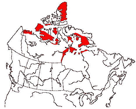 Map of Red Phalarope in Canada