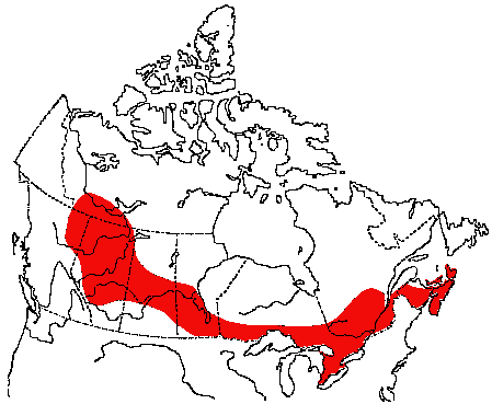 Map of Rose-breasted Grosbeak in Canada