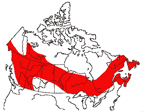 Map of Black-backed Woodpecker in Canada