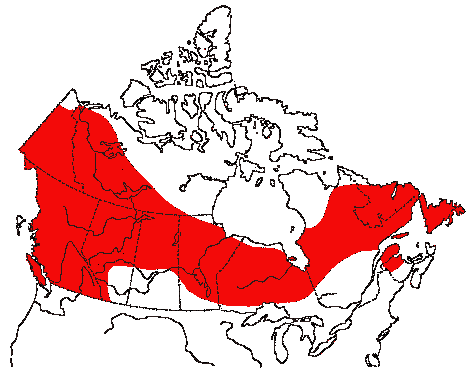 Map of Three-toed Woodpecker in Canada