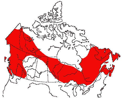 Map of Pine Grosbeak in Canada