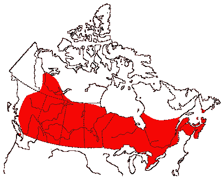 Map of Sora in Canada