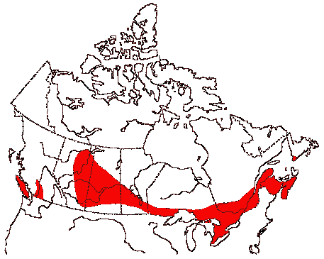 Map of Virginia Rail in Canada