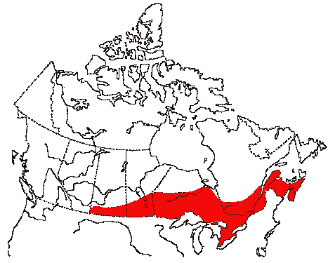 Map of Eastern Bluebird in Canada