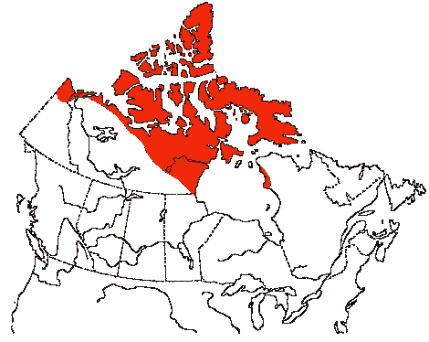 Map of Long-tailed Jaeger in Canada
