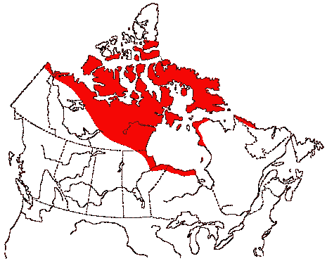 Map of Parasitic Jaeger in Canada