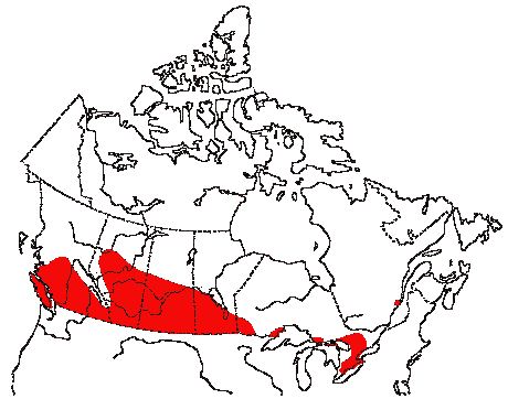 Map of Western Meadowlark in Canada