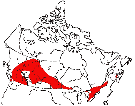 Map of Marsh Wren in Canada