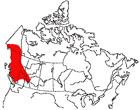 Map of Golden-crowned Sparrow in Canada