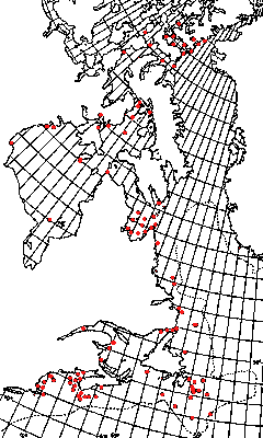 Map of <i>Sclerocrangon boreas</i> in Canada