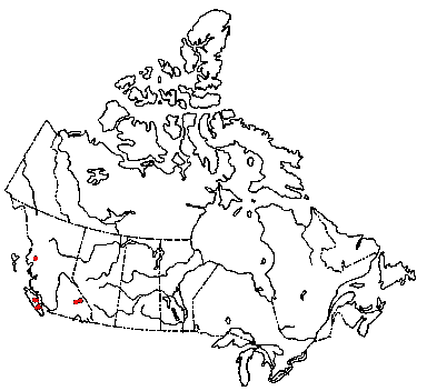Map of Admirable Bolete in Canada