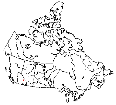 Map of <i>Marasmius tremulae</i> in Canada