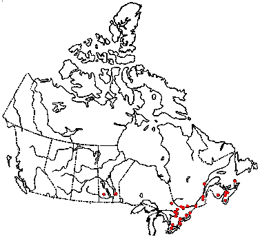 Map of Orange Mycena in Canada