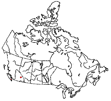 Map of <i>Mycena lohwagii</i> in Canada
