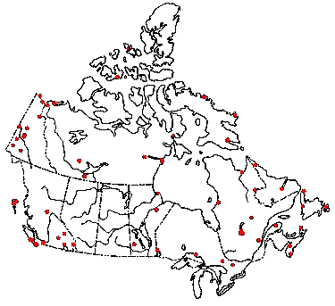 Map of <i>Phytoconis ericetorum</i> in Canada