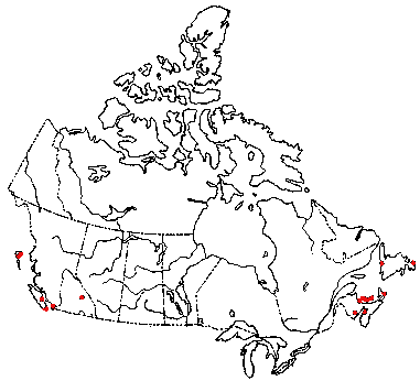 Map of Liberty Cap in Canada