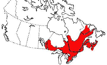 Map of Blue-spotted Salamander in Canada
