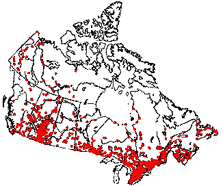 Map of Mourning cloak (Nymphalis antiopa) in Canada