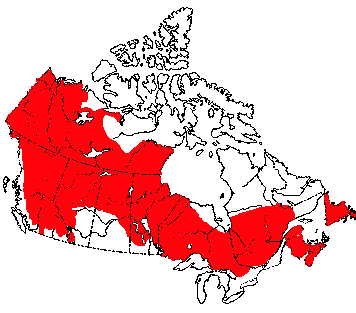 Map of Moose in Canada