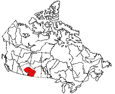 Map of Pronghorn in Canada