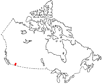 Map of Pallid Bat in Canada