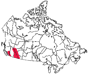 Map of Richardson's Water Vole in Canada