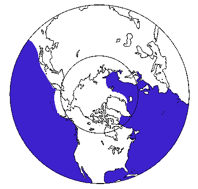 Map of Blue Whale in Canada
