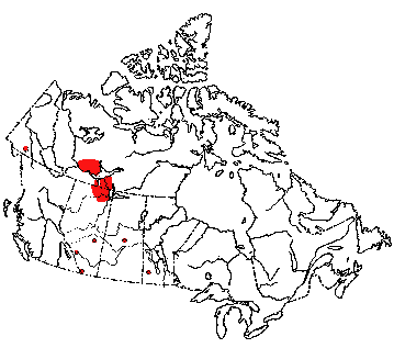 Map of American Bison or Buffalo in Canada